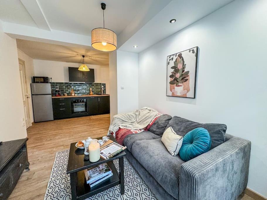 Apartament Elegance Au Coeur De Tarbes Zewnętrze zdjęcie